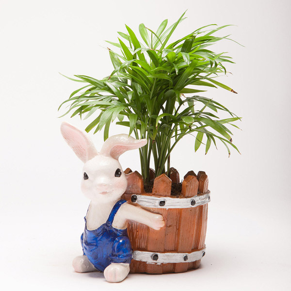 Send Chamaedorea Plant in Resin Rabbit Pot Online