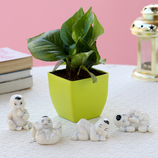 Send Money Plant in Green Pot & Baby Buddha Combo Online