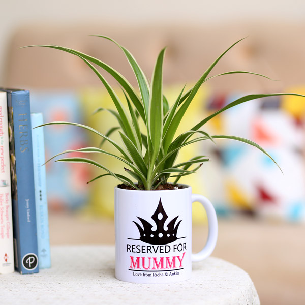 Send Spider Plant In Personalised Mug For Mummy Online