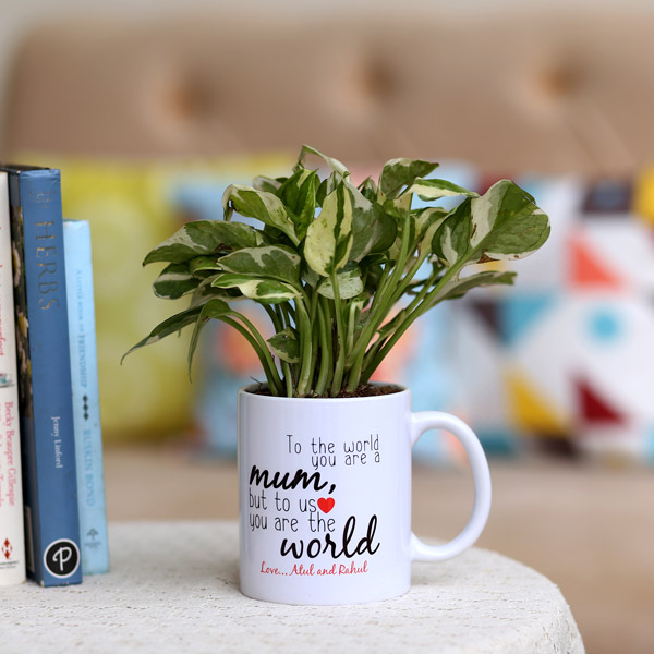 Send Pothos Plant In Personalised Mug For Mum Online