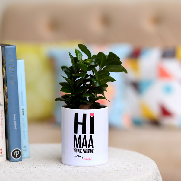 Send Ficus Compacta In Personalised Awesome Maa Pot Online
