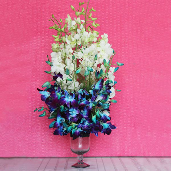 Send Purple & White Orchids in Glass Vase Online