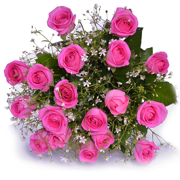 Send Charming Pink Roses Online