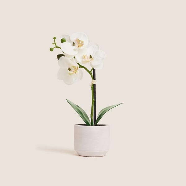 Send Artificial Small Orchid in Ceramic Pot Online