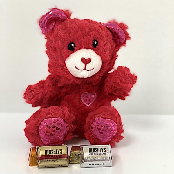 Send Red Teddy Bear with Hershey&#39;s Nuggets Online
