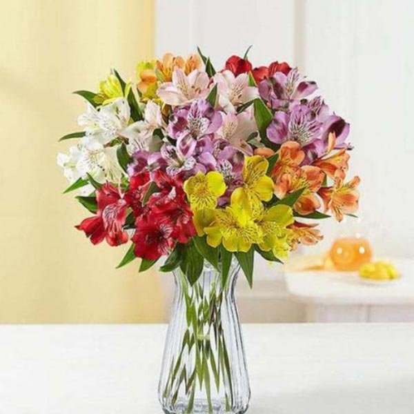 Send 100 Peruvian Lilies in Clear Vase Online