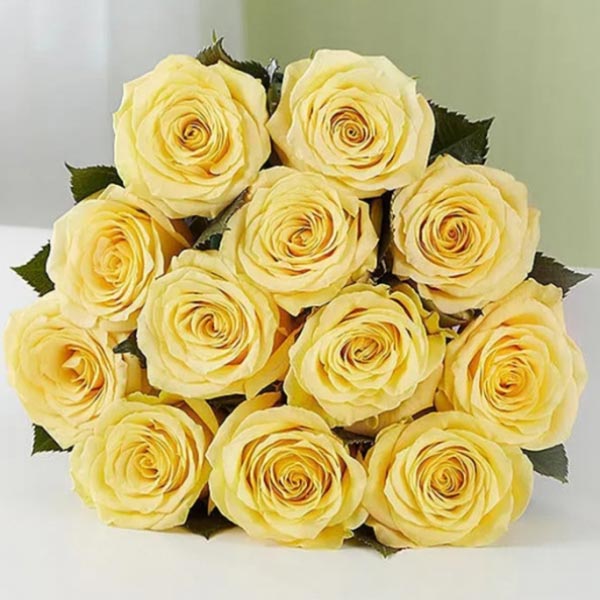 Send 12 Yellow Roses Bouquet Online