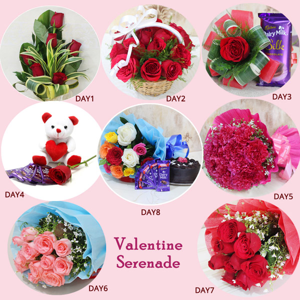 Send Flowers & Combos for Valentine Week Online
