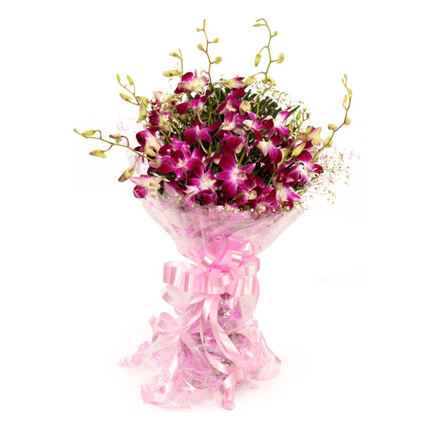 Send Splendid Purple Orchids Online