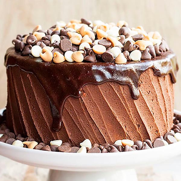 Send Choco Chips Loaded Coffee Cake Online