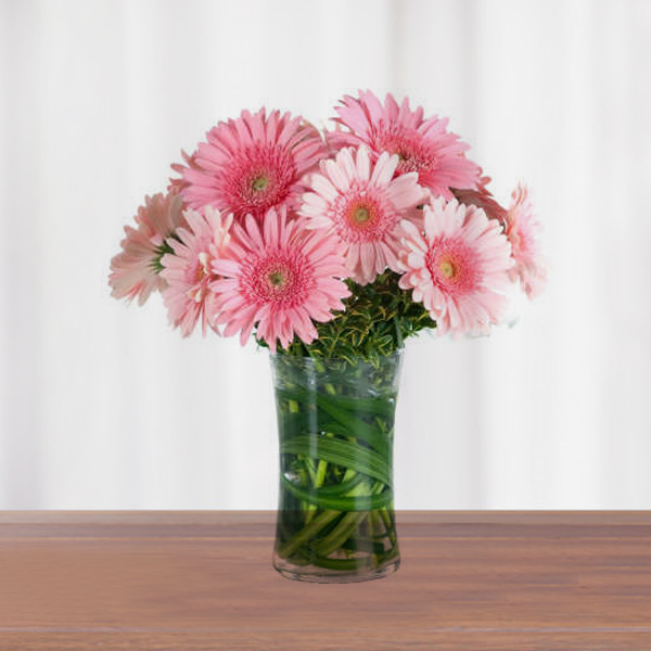 Send Light Pink Gerberas in Glass Vase  Online