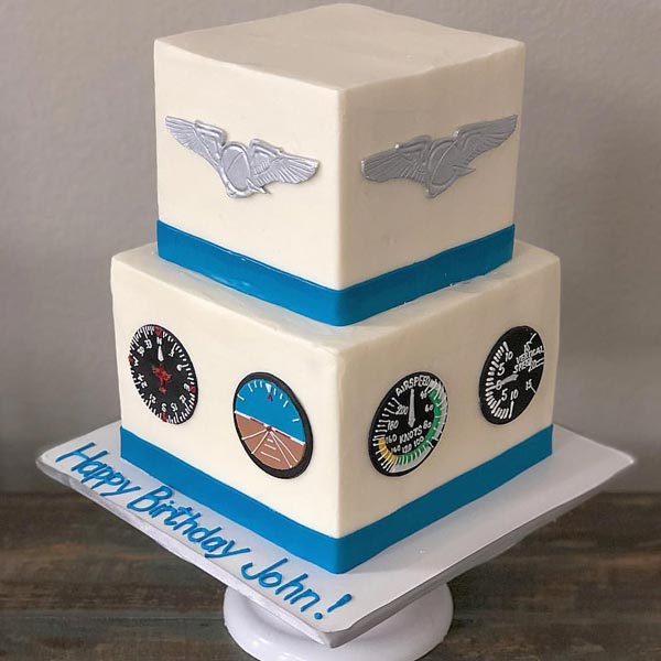 Send Vanilla Pilot Theme Cake Online